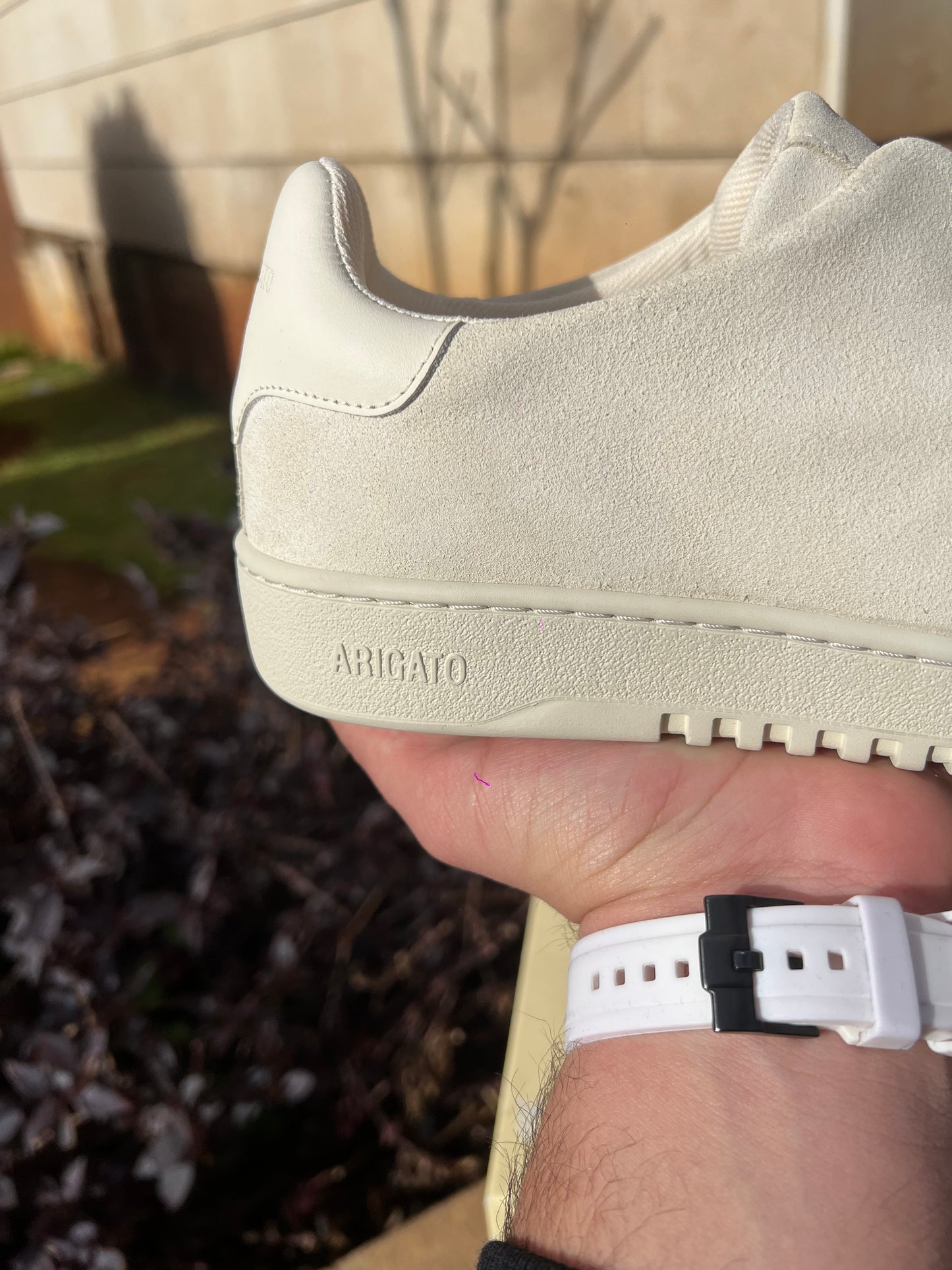 Axel Arigato Laceless Beige
